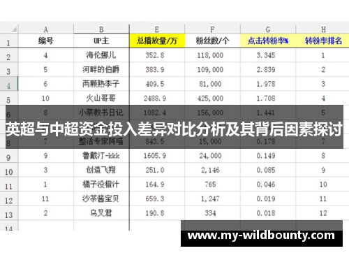 英超与中超资金投入差异对比分析及其背后因素探讨