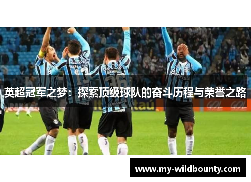 英超冠军之梦：探索顶级球队的奋斗历程与荣誉之路