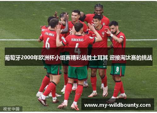 葡萄牙2000年欧洲杯小组赛精彩战胜土耳其 迎接淘汰赛的挑战